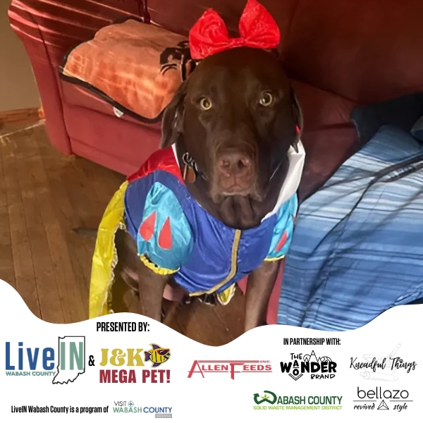 Visit Wabash County runs pet photo costume contest
